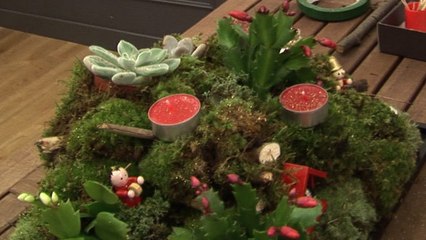 Un centre de table végétal pour Noël