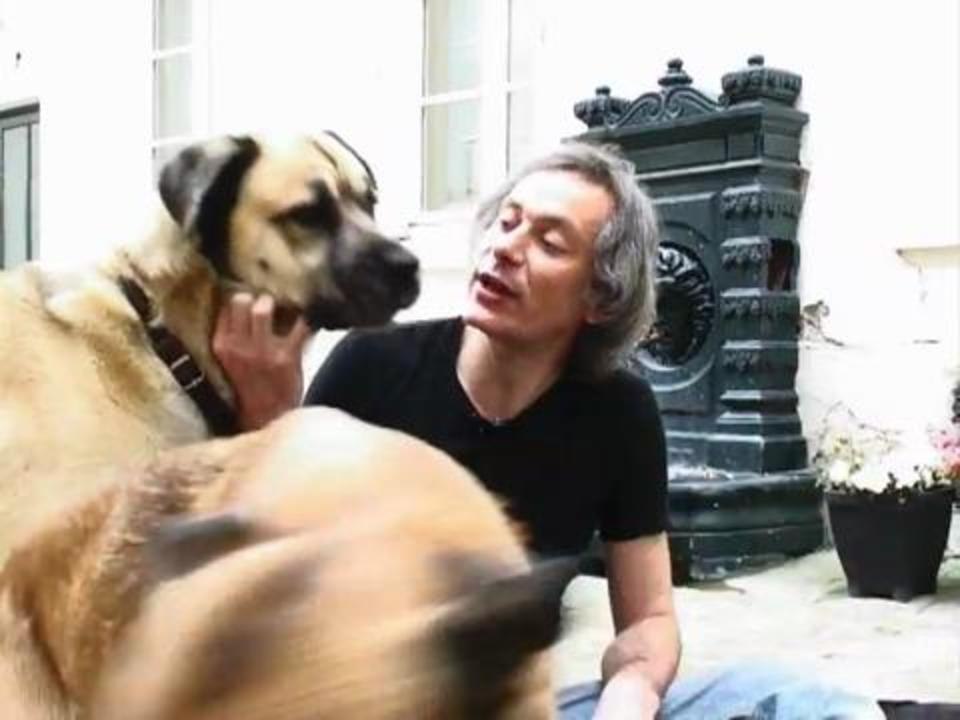 Comprendre son chien