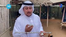 This Emirati breeds chickens that lay blue eggs