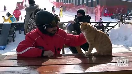 'Havuç', Palandöken'in maskotu oldu