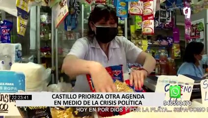 ¿Cuál fue la agenda del presidente Pedro Castillo en el último mes?