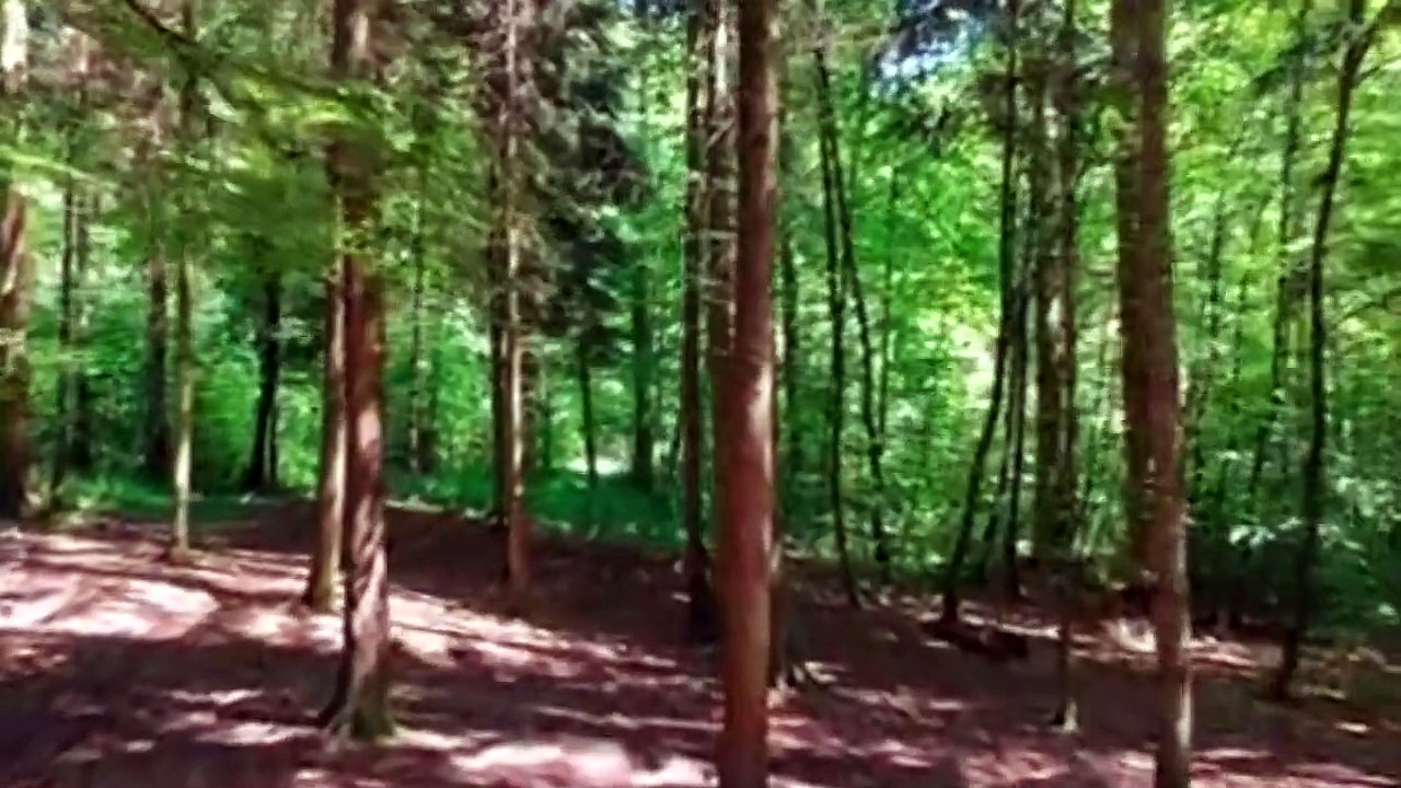 Meditation Music, Relaxing Music, Calming Music, Stress Relief Music, Study Music