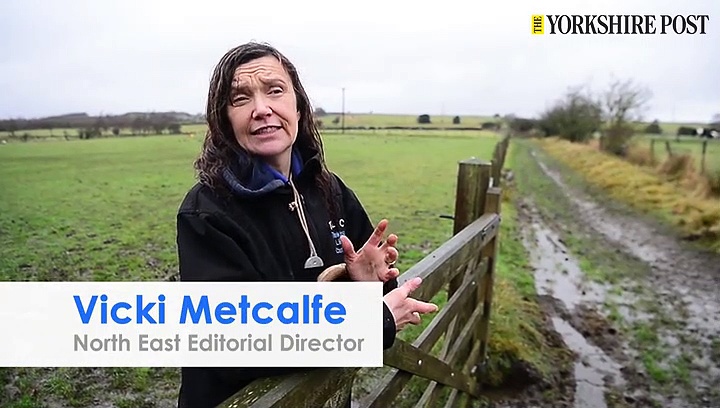 Border Collie Training-1