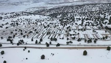 Sahipsiz sokak hayvanları "yerden ısıtmalı" bakım odalarında ağırlanıyor