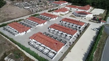 BALIKESİR - Sokak hayvanları Balıkesir'deki modern merkezde bakılıyor