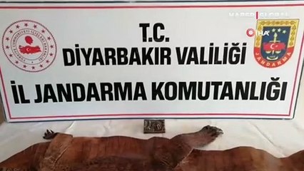 Diyarbakır'da ele geçirildi! 2 milyon dolara satacaklardı