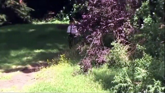 Basın açıklamasına geç kalan bakanın yerine annesi özür diledi; Takım elbisesini evde unutmuş