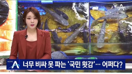 너무 비싸 못 파는 ‘국민 횟감’ 우럭·광어…어쩌다?