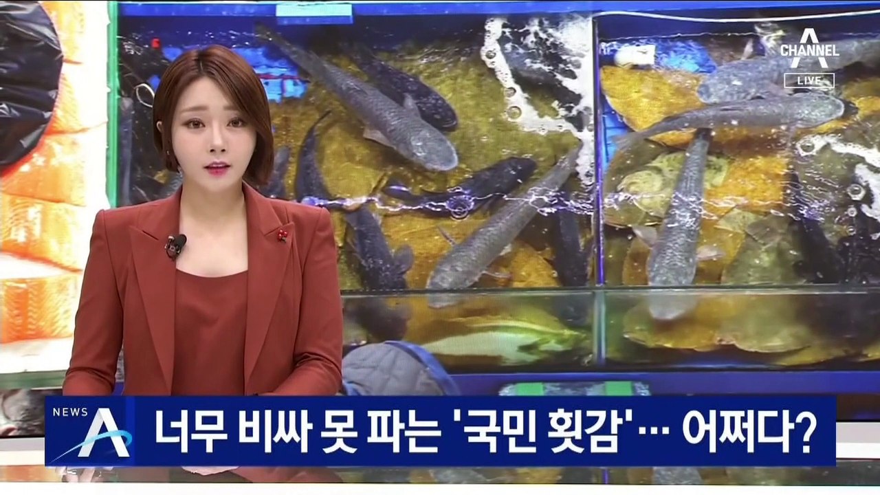 너무 비싸 못 파는 ‘국민 횟감’ 우럭·광어…어쩌다?