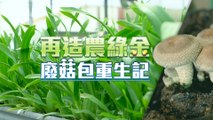 單元3｜菇菇不息！農業循環 廢菇包重生記｜華視新聞雜誌 EP2296 2022.01.01