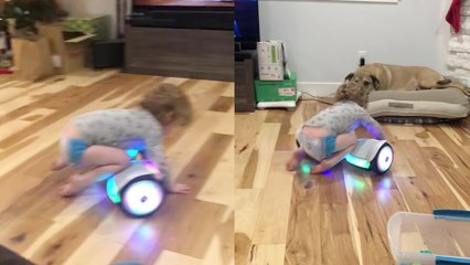 'A curious boy learns the hard way that hoverboards (Christmas Present) aren't for toddlers'