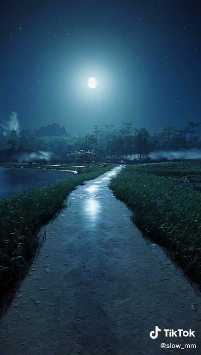 The_way_home#home