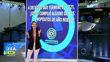 ¡Perritos participan en pastorela!