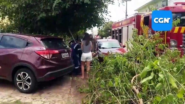 Ao realizar pode em árvore, mulher fica presa em galhos e Corpo de Bombeiros mobilizado