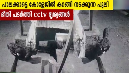 കോളേജ് വളപ്പിൽ പുലിയിറങ്ങി, സിസിടിവി ദൃശ്യങ്ങൾ | Oneindia Malayalam