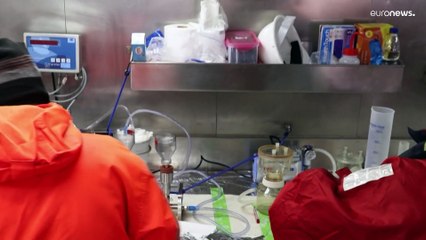 Patagonia chilena | Científicos investigan el inusual surgimiento de algas tóxicas