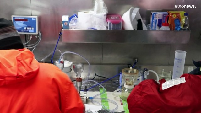 Patagonia chilena | Científicos investigan el inusual surgimiento de algas tóxicas