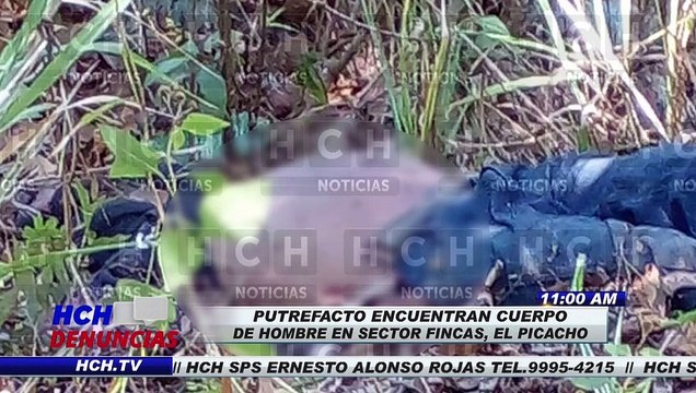 ¡Bomberos atienden incendio en zacatera de col. Nueva Suyapa!