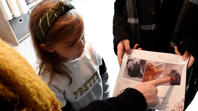 «J'ai retrouvé Guizmo mort d'une balle en plein cœur» : dans ce lotissement normand, les chats disparaissent un à un