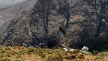 Son dakika... Arjantin'de yangın söndürme helikopteri düştü: 2 ölü