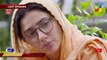 Hum Kahan Ke Sachay Thay -  Last Episode 22 Promo - Sunday at 8 PM Only On HUM TV