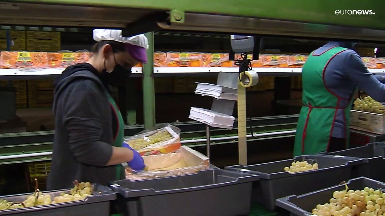 Spanien: Teure Trauben - teures Glück