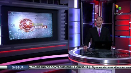 Gobierno Sirio desarrolla campaña nacional de reforestación