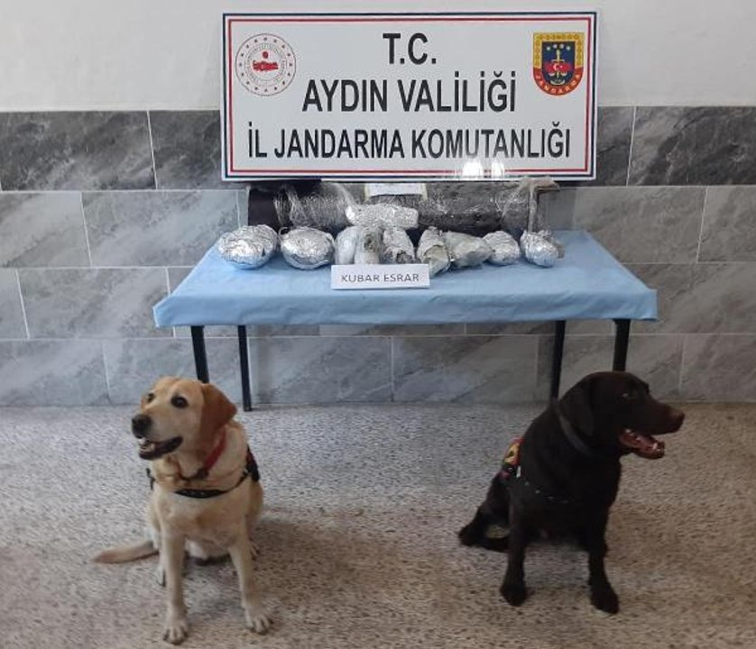 Suç örgütüne yönelik Aydın merkezli operasyonda 6 tutuklama