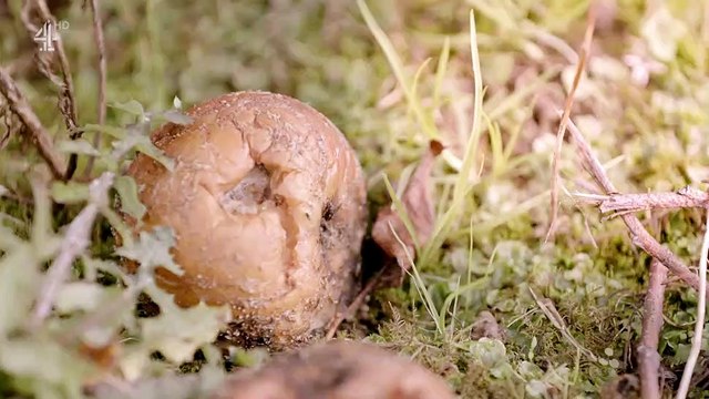 Undercover Police Hunting Paedophiles S01E03