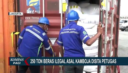 Petugas Temukan 250 Ton Beras Impor Ilegal, DIduga Rugikan Negara Hingga Rp1,9 Miliar!