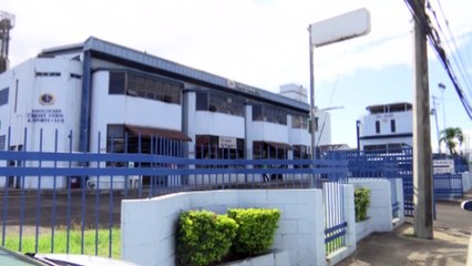 NFM Lowers Price, Increases Ibis Flour