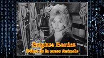 Brigitte Bardot : Le déclic pour la cause Animale (1/3)