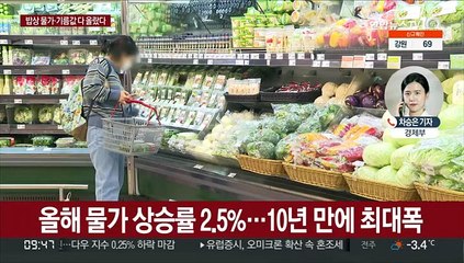 올해 물가 2.5%↑…10년 만에 최대 상승