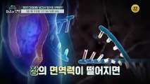 2022 다이어트 보고서 당신의 선택은?_글로벌 힐링 최고의 선택 27회 예고 TV CHOSUN 220101 방송