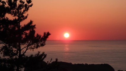 한파 속 해넘이·해돋이...명소는 대부분 통제 / YTN