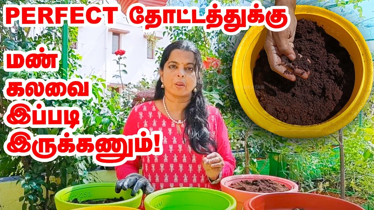 மாடித்தோட்டத்துக்கு சிறந்த மண் கலவை | how to prepare best soil mix for plants | Pasumai Vikatan