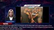 Alex Pettyfer Celebrates 4 Years with Wife Toni Garrn: 'Partners in Crime' - 1breakingnews.com