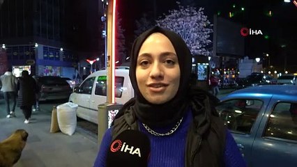 Tilki ile kedinin, kedi ile köpeğin dostlukları kameralara böyle yansıdı