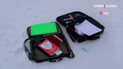 Rusya'da sokak köpeklerinin saldırdığı profesör hayatını kaybetti