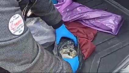 Son dakika haber | Konya'daki tarihi eser kaçakçılığına 3 gözaltı