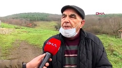 Ormanlar yasaklı ırk köpekler ile doluyor