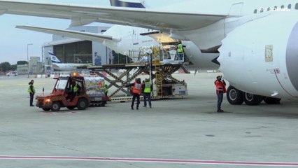 Anti-Corona-Pille Paxlovid: Erste Lieferung in Israel angekommen