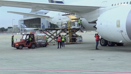 Paxlovid de Pfizer llega a Israel para combatir la covid por vía oral