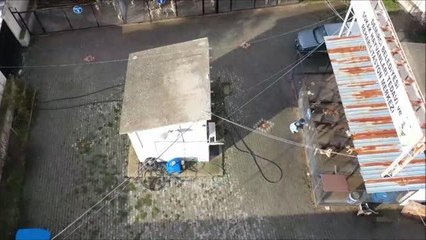 Demirci'de rehabilitasyon merkezindeki "can dostlara" özel bakım