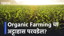 Organic Farming चा अट्टाहास परवडेल? lCan Organic Farming Afford?| Sakal Media