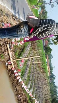 mancing mania di kolam