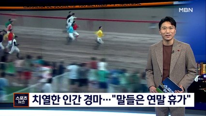 [핫클립] "말들은 연말 휴가"…기수들이 펼치는 '인간 경마'