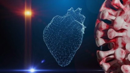 Le coronavirus resterait dans les organes durant plusieurs mois, selon une étude