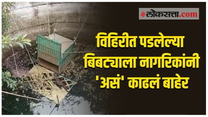 विहिरीत पडला होता बिबट्या; नागरिकांनी वन अधिकाऱ्यांची वाट न बघता बिबट्याला काढलं बाहेर