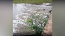 Após forte chuvas, curso d'água do Rio Piancó anima sertanejos em Conceição
